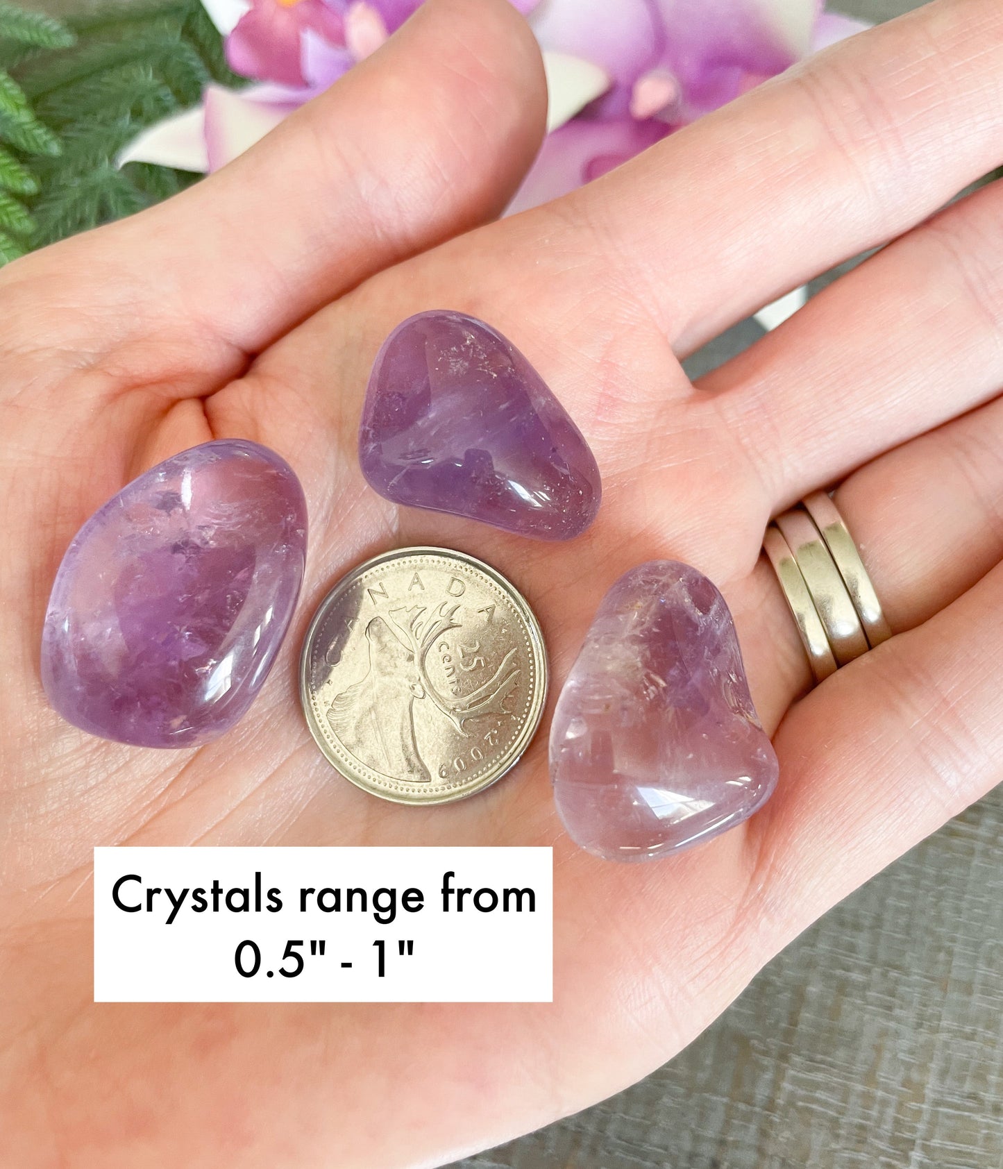 Empath Protection Crystal Set